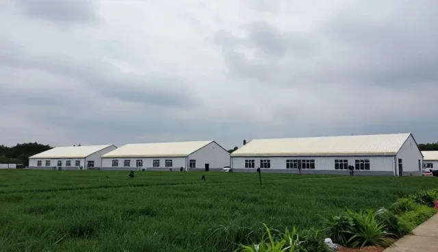 材料选择对设计服务性能影响的原因分析